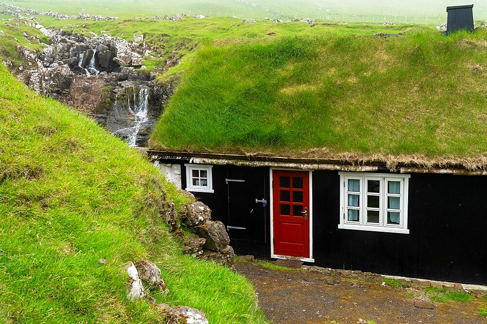 House with turf roof, Mykines Island, Faroe Islands, Denmark, Europe