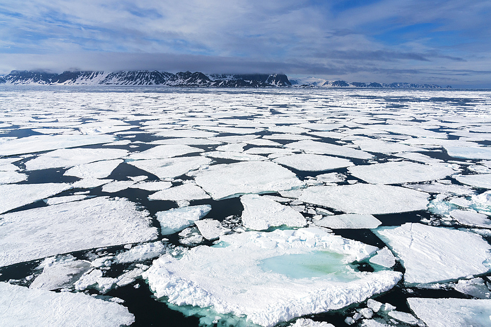 Spitsbergen, Svalbard Islands, Norway.