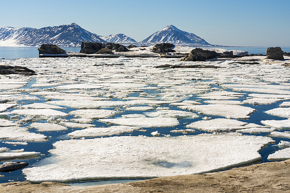 Gnalodden, Spitsbergen, Svalbard Islands, Norway.