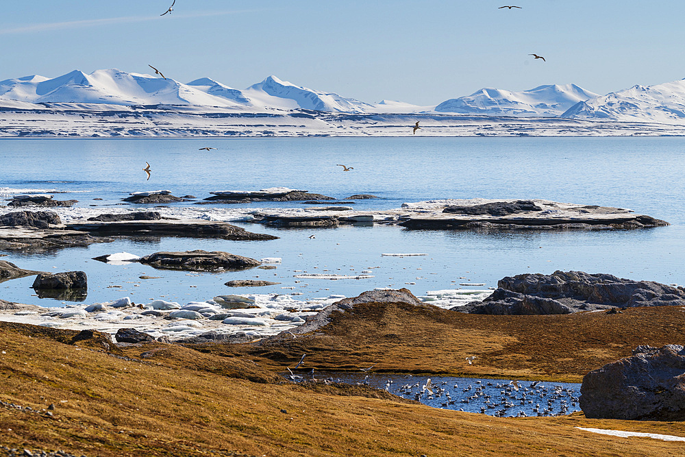 Gnalodden, Spitsbergen, Svalbard Islands, Norway.