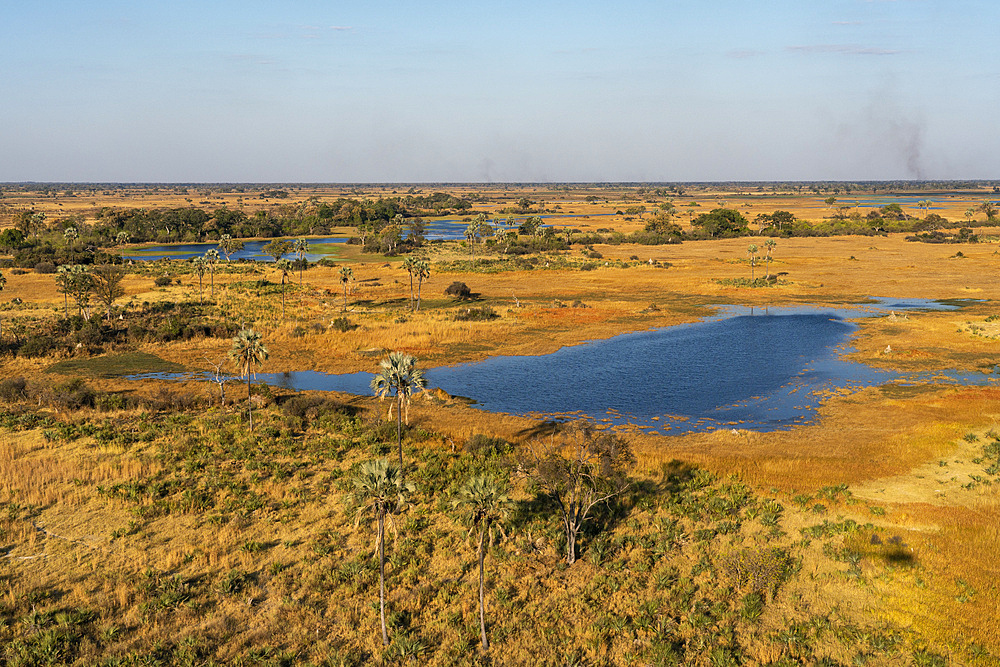 Aerial view of the Okavango Delta, Botswana.