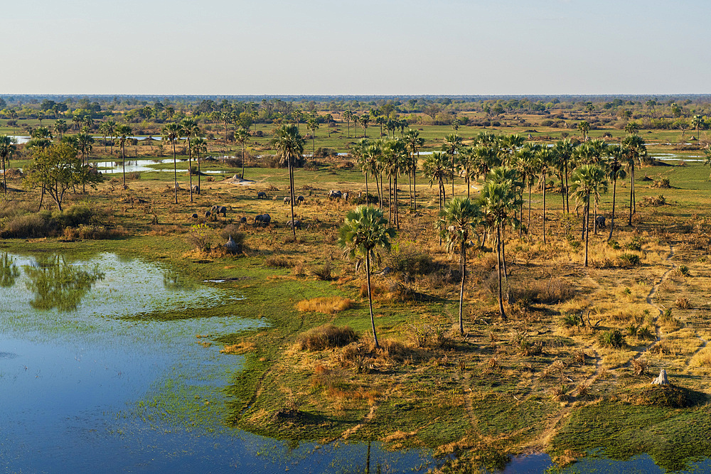 Aerial view of the Okavango Delta, Botswana.