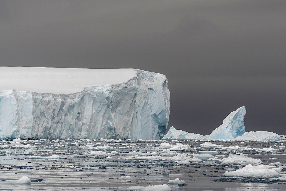 Icebergs in Curtiss Bay, Antarctica, Polar Regions