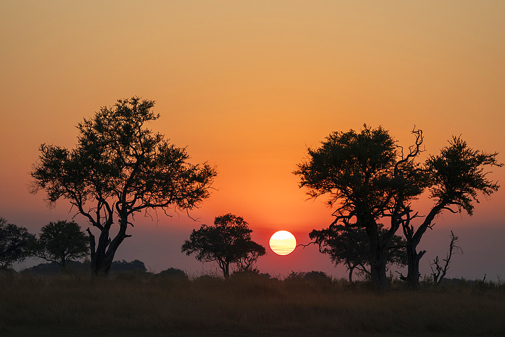 Sunset over the Okavango Delta, Botswana, Africa