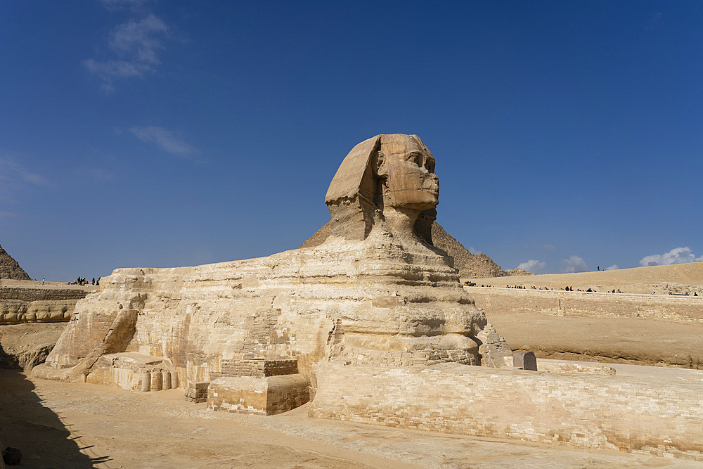 The Great Sphinx at the Great Pyramid complex, Giza, Egypt.