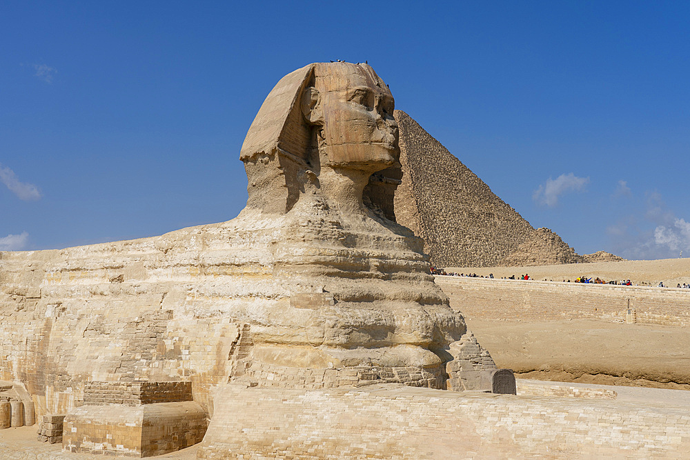 The Great Sphinx at the Great Pyramid complex, UNESCO World Heritage Site, Giza, Egypt, North Africa, Africa