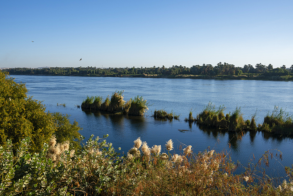 Nile river near Gebel Al-Silsila, Egypt, North Africa, Africa