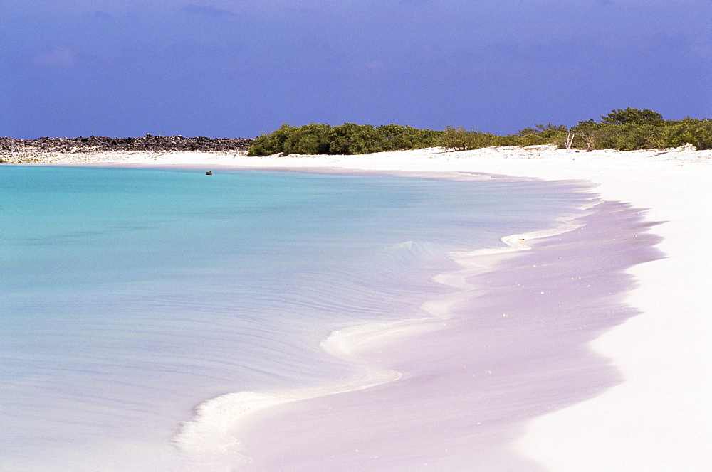 Crasqui, Los Roques, Venezuela, South America