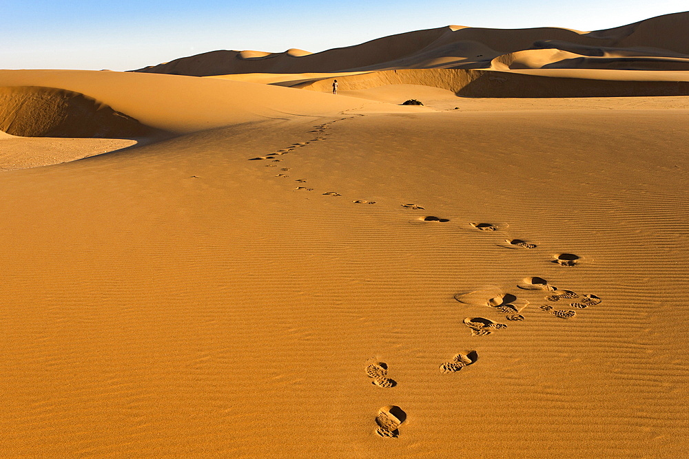 Tourist on sand dunes near Swakopmund, Dorob National Park, Namibia, Africa