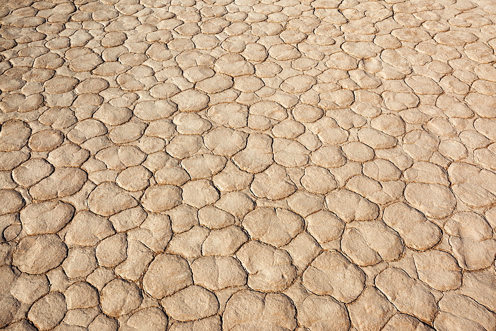 Dried mud, Dead Vlei, Namib Desert, Namibia, April 2013