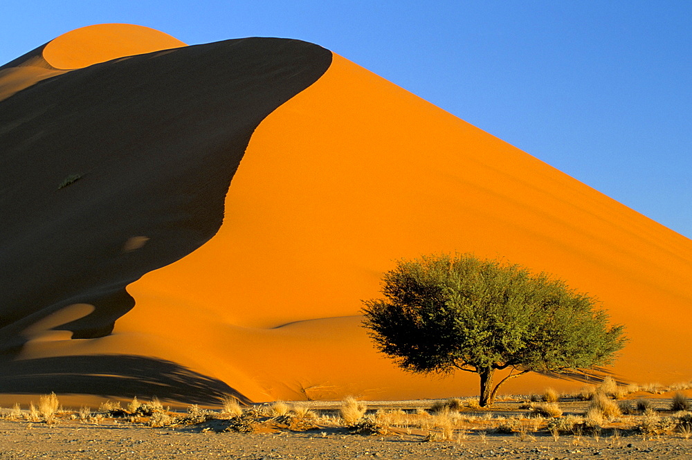 Sand dune, Sossusvlei dune field, Namib-Naukluft Park, Namib Desert, Namibia, Africa