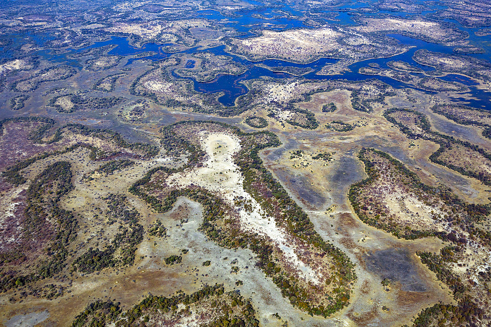 Aerial view of the Okavango delta, UNESCO World Heritage Site, Botswana, Southern Africa,