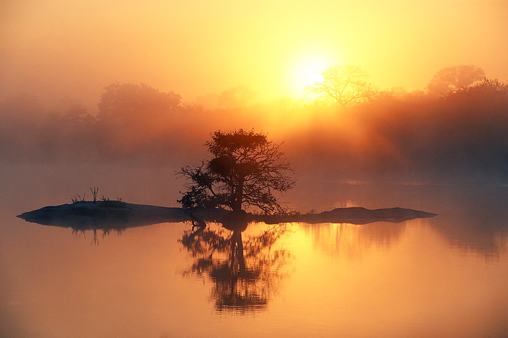 Sunrise, Kruger National Park, South Africa, Africa