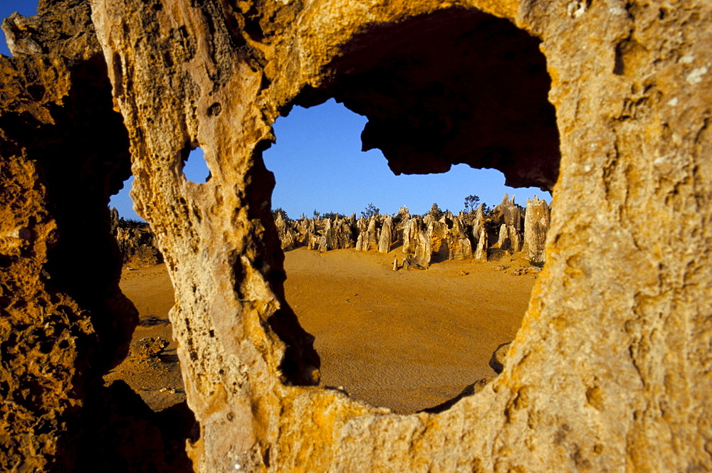 Pinnacles desert limestone pillars, Nambung National Park, Western Australia, Australia, Pacific