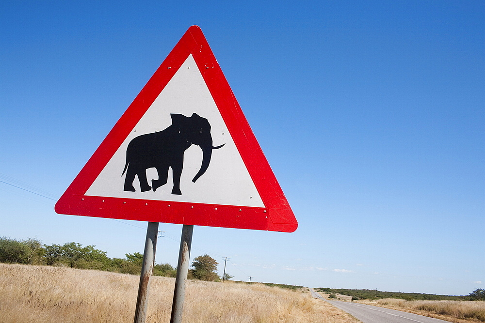 Elephant road sign, Damaraland, Kunene region, Namibia, Africa