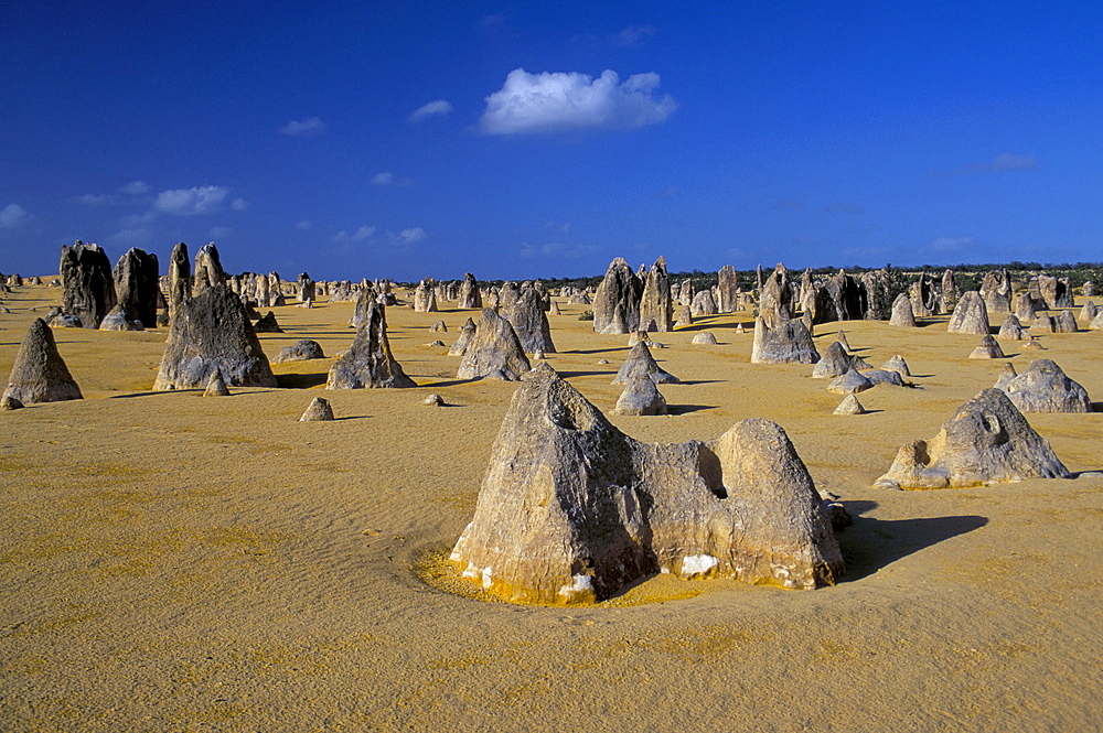 Limestone pillars in the Pinnacles Desert, Nambung National Park, Western Australia, Australia, Pacific