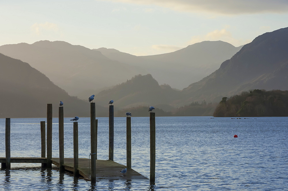 View towards Borrowdale, Derwentwater, Keswick, Lake District National Park, Cumbria, England, United Kingdom, Europe