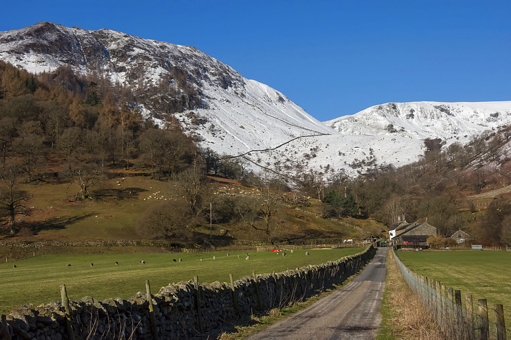 Glencoyne, Ullswater, Lake District National Park, UNESCO World Heritage Site, Cumbria, England, United Kingdom, Europe