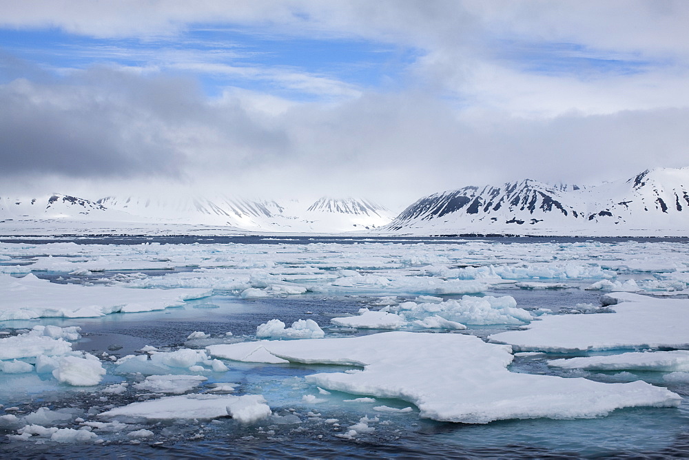 Pack ice, and glacier in background, Spitsbergen, Svalbard, Norway, Scandinavia, Europe