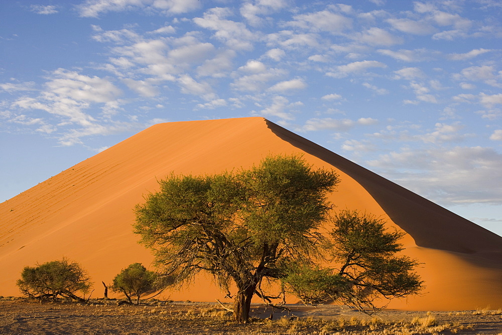 Sand dunes, Sossusvlei, Namib Naukluft Park, Namib Desert, Namibia, Africa