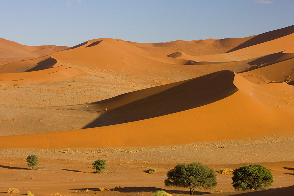 Sand dunes, Sossusvlei, Namib Naukluft Park, Namib Desert, Namibia, Africa