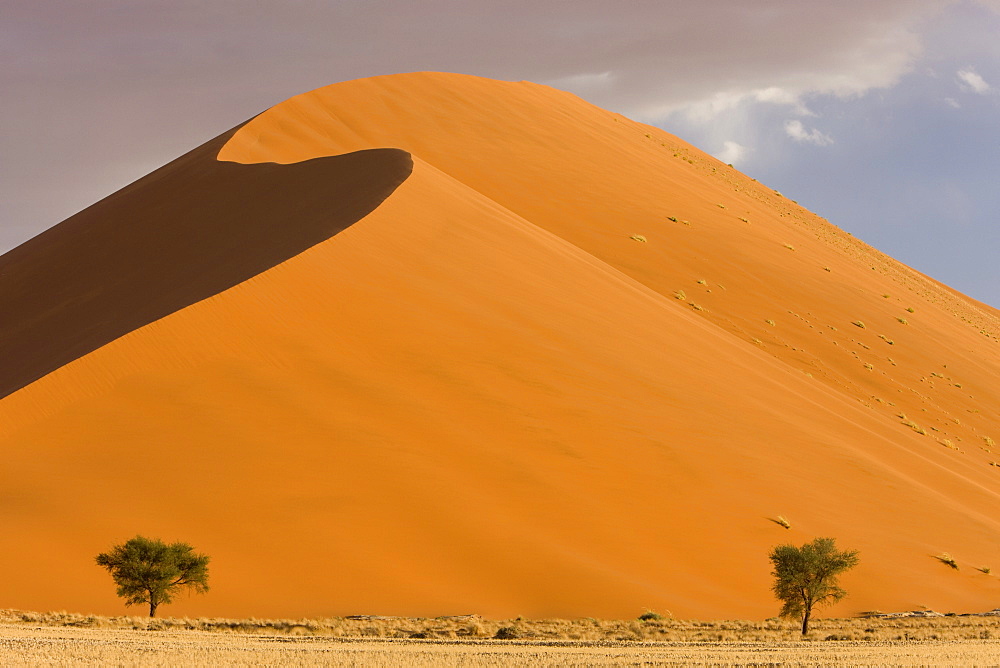 Sand dunes, Sossusvlei, Namib Naukluft Park, Namib Desert, Namibia, Africa