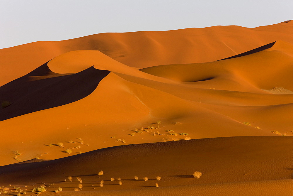 Sand dunes, Sossusvlei, Namib Naukluft Park, Namib Desert, Namibia, Africa