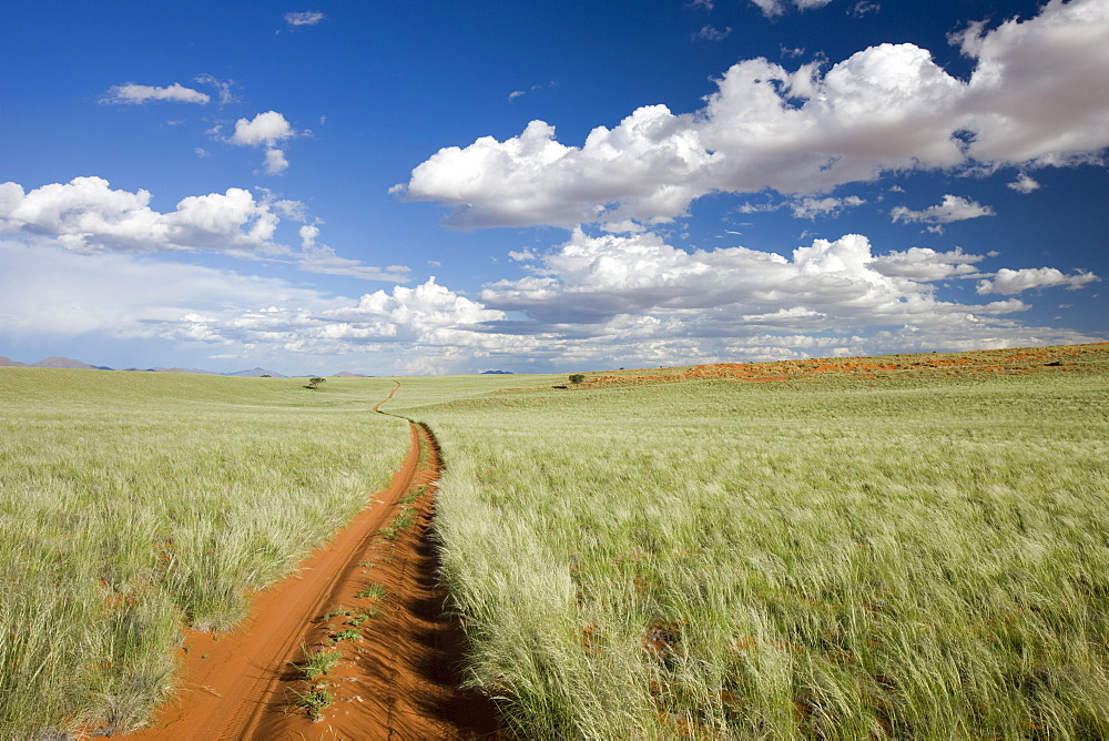 Namib Rand Nature Reserve, Namibia, Africa