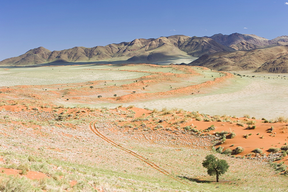 Wolvedans, Namib Rand Nature Reserve, Namibia, Africa