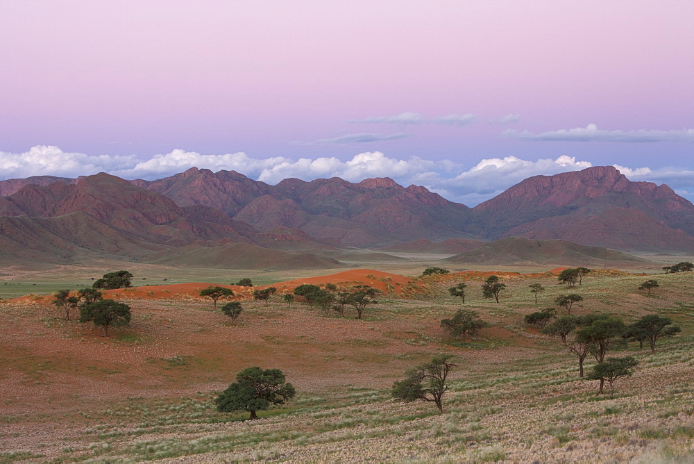 Sundowner, Wolvedans, Namib Rand Nature Reserve, Namibia, Africa