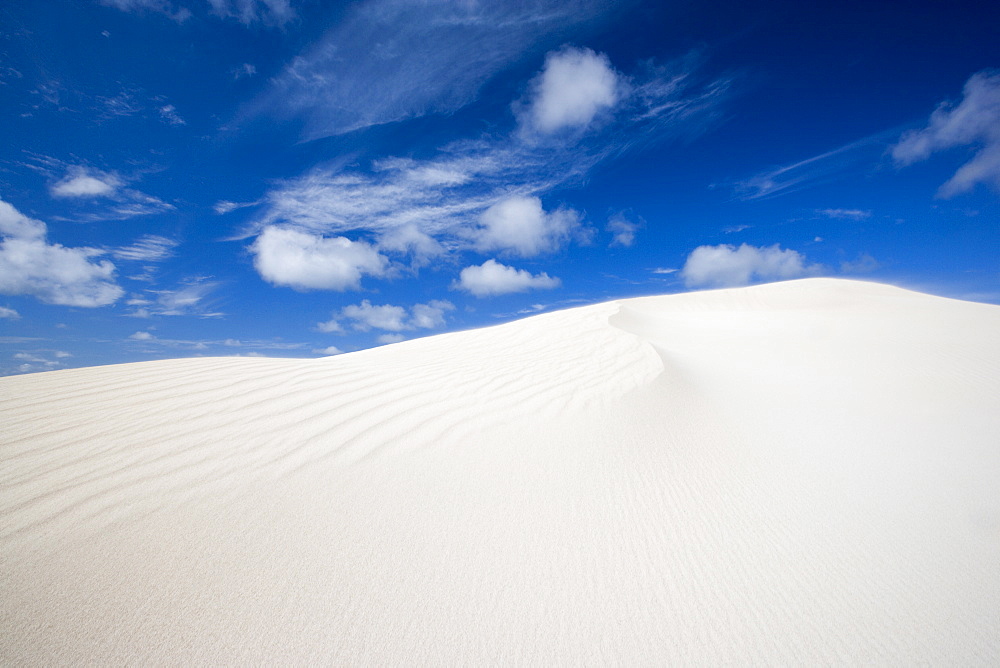 Little Sahara, Kangaroo Island, South Australia, Australia, Pacific