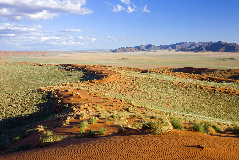 Wolvedans, Namib Rand Nature Reserve, Namibia, Africa