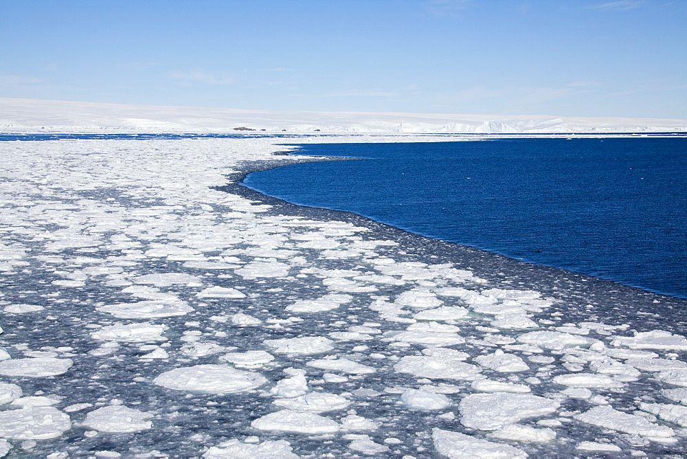 Pack ice, Dumont d'Urville, Antarctica, Polar Regions