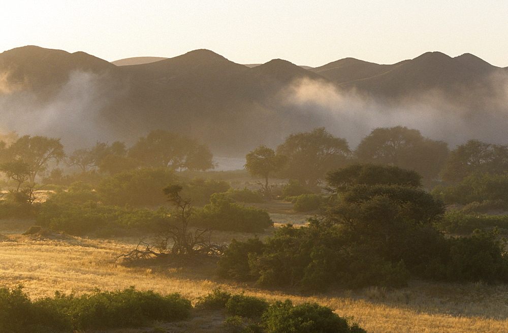 Landscape Dry River, Hoanib, Kaokoland, Namibia