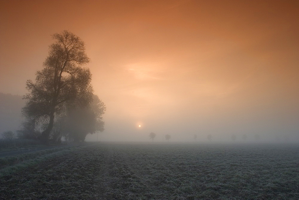 Autumn impression, Luebbecke, Germany, Europe