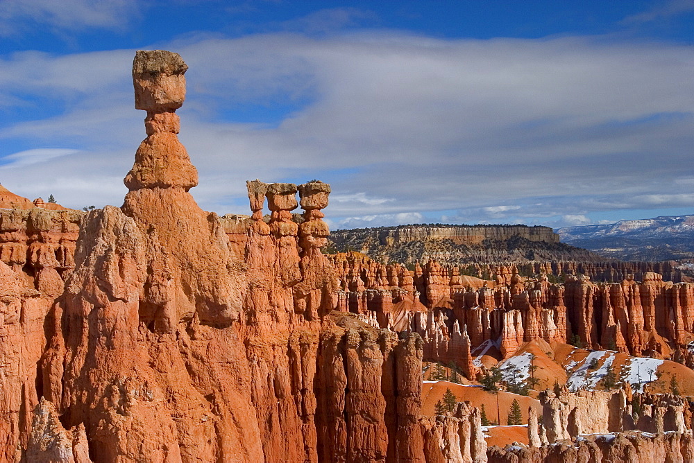 Bryce Canyon National Park, Utah, United States of America, North America