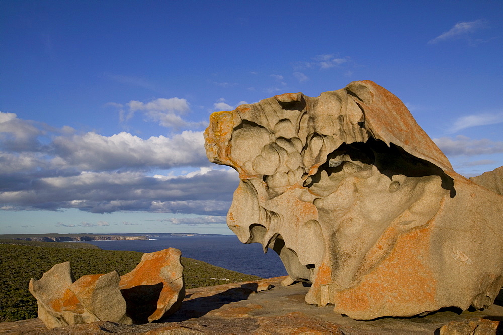 Remarkable Rocks, Coast Kangaroo Island, Flinders Chase N.P., Kangaroo Island, South Australia, Australia