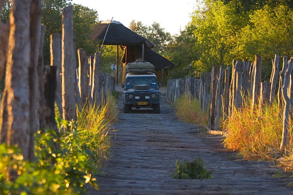 Bridge near the camp, Moremi Wildlife Reserve, Botswana, Africa