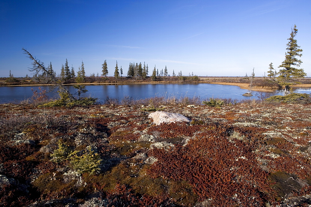 Landscape at Hudson Bay, Churchill, Manitoba, Canada, North America