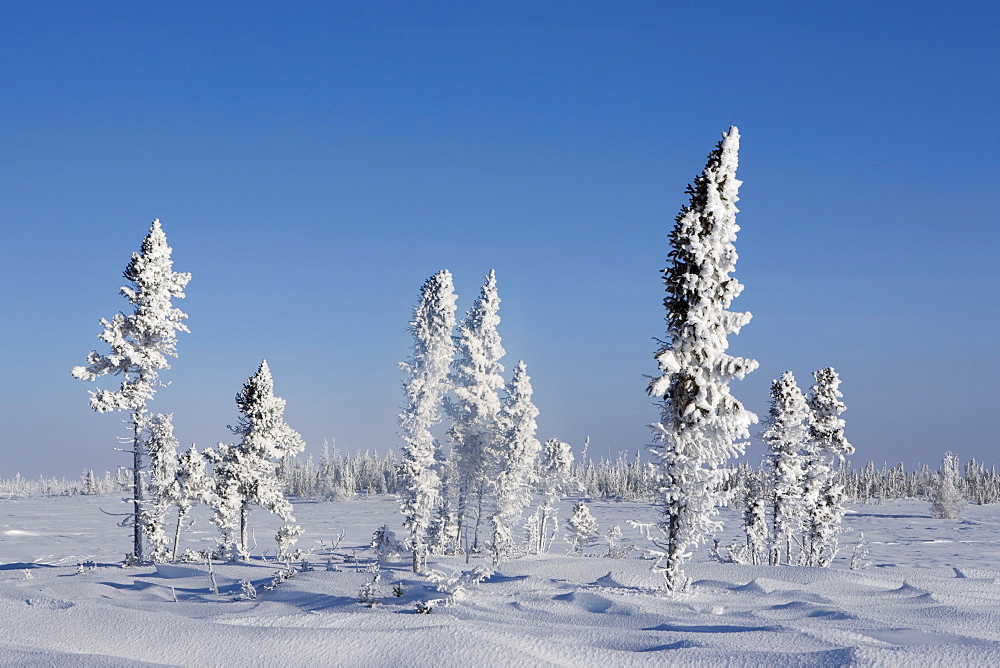 Winter Scenery, Churchill, Manitoba, Canada