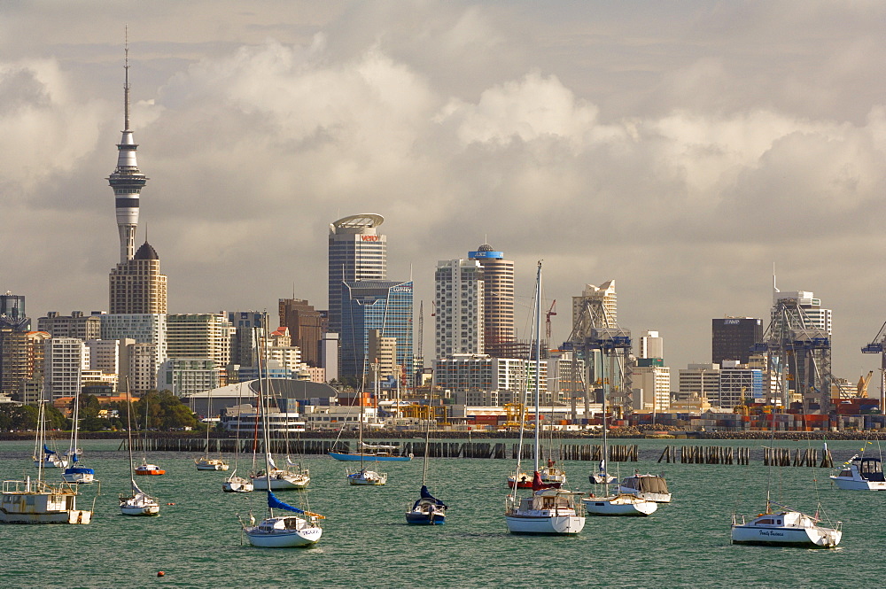 Okahu Bay boat harbour and skyline, Auckland, North Island, New Zealand, Pacific