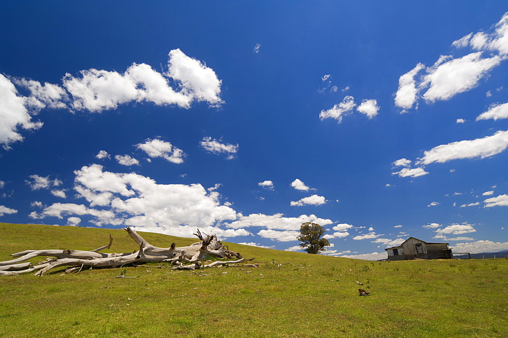 Farmland, Butchers Ridge, Victoria, Australia, Pacific