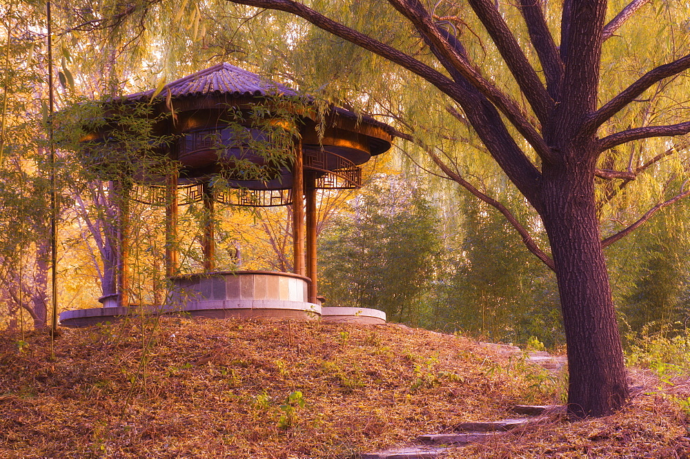 Forest Pavilion, Purple Bamboo Park, Beijing, China, Asia