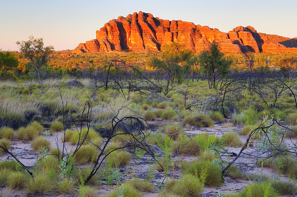 The Domes, Bungle Bungle, Purnululu National Park, UNESCO World Heritage Site, Kimberley, Western Australia, Australia, Pacific