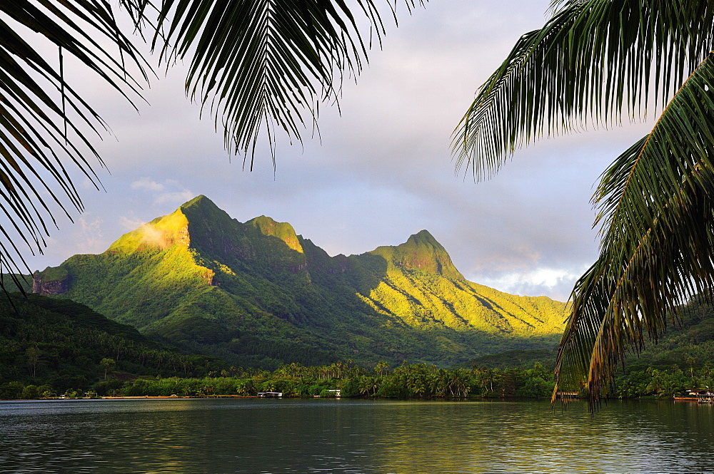 Faaroa Bay and Mount Oropiro, Raiatea, French Polynesia, South Pacific Ocean, Pacific