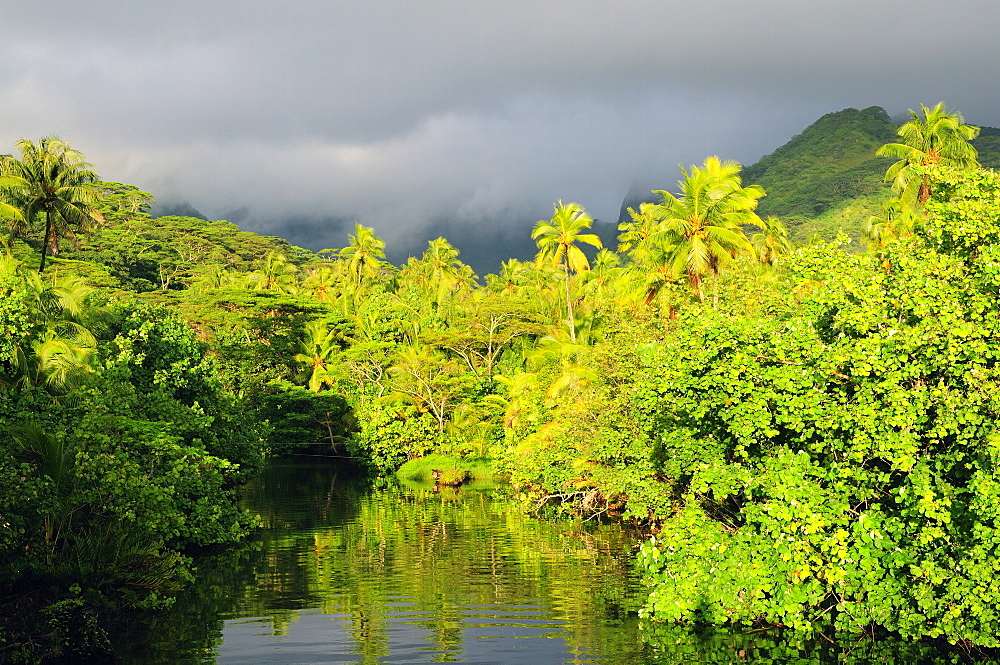 Mount Tefatua and tropical rainforest, Raiatea, French Polynesia, South Pacific Ocean, Pacific