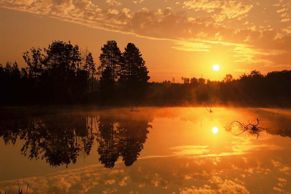 Schwenninger Moos at sunrise, with B/Y Polarizer, Schwenningen, Germany, Europe