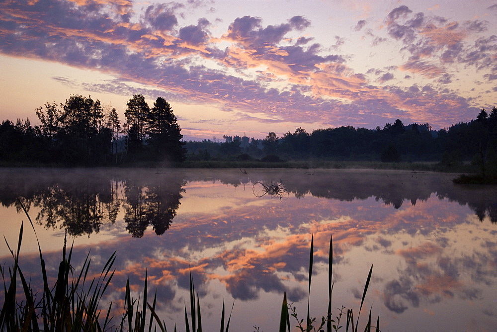 Schwenninger Moos at sunrise, Schwenningen, Germany, Europe