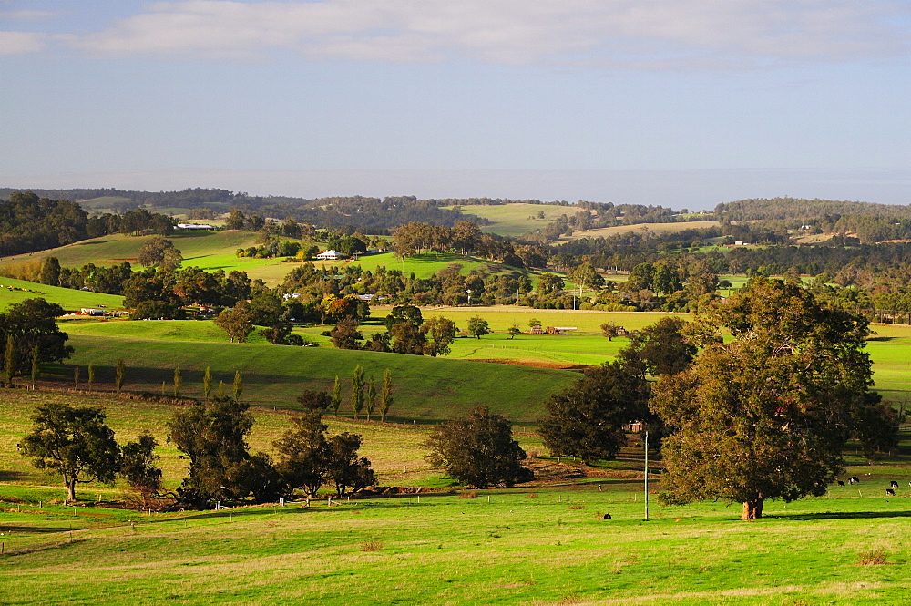 Farmland, Picton, Western Australia, Australia, Pacific