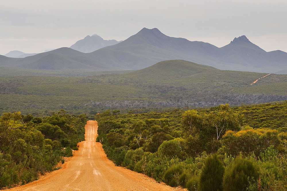 Gravel road, Stirling Range, Stirling Range National Park, Western Australia, Australia, Pacific